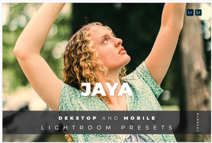 [Elements.Envato] Jaya Desktop and Mobile Lightroo_0.jpg